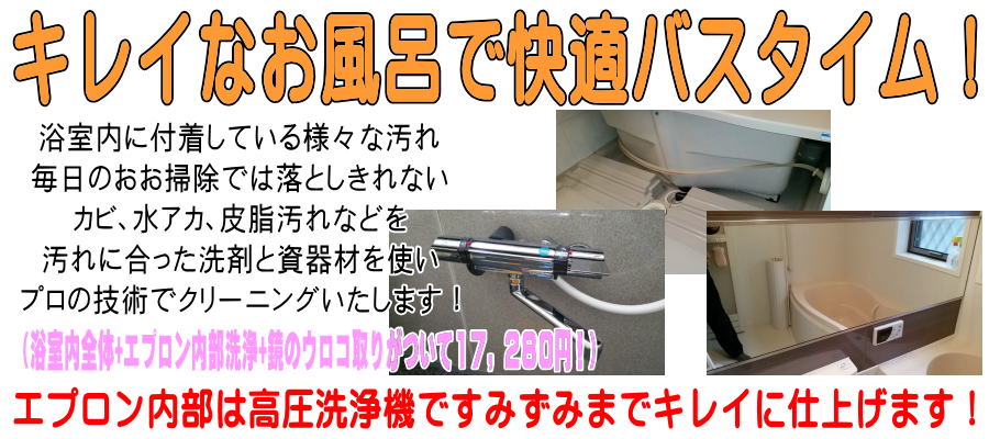 風呂　浴室　クリーニング　名古屋　愛知　岐阜　掃除　エプロン内部　カビ　浴槽　清掃　高圧洗浄　鏡　県　市